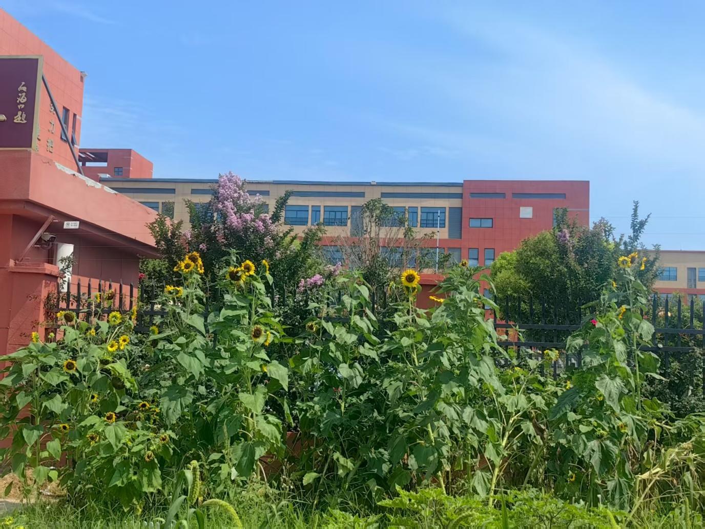 图片7.png 图片7.png