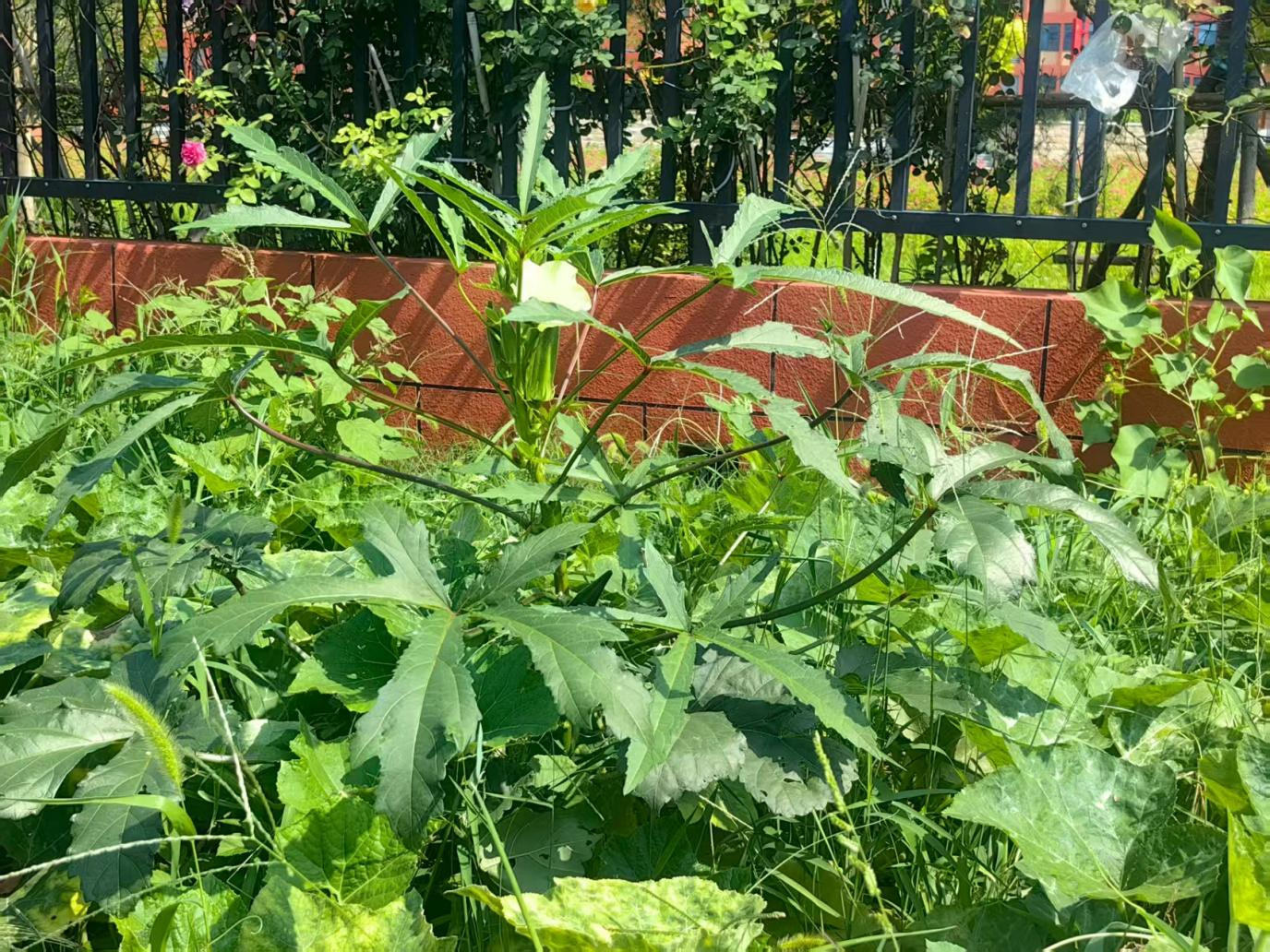 图片8.png 图片8.png