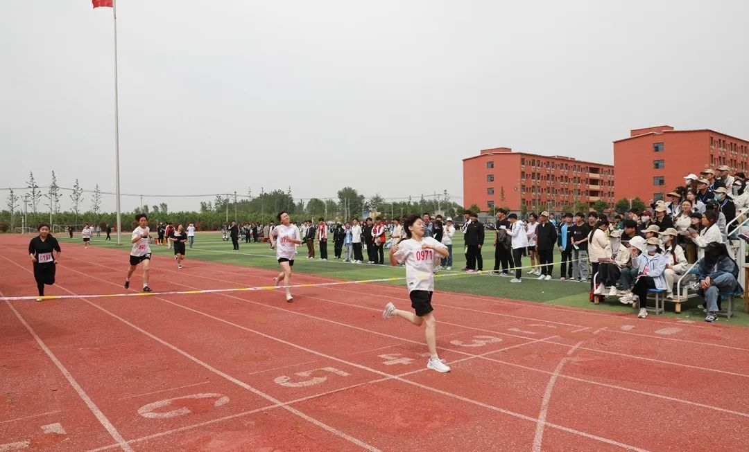 图片29.png 图片29.png