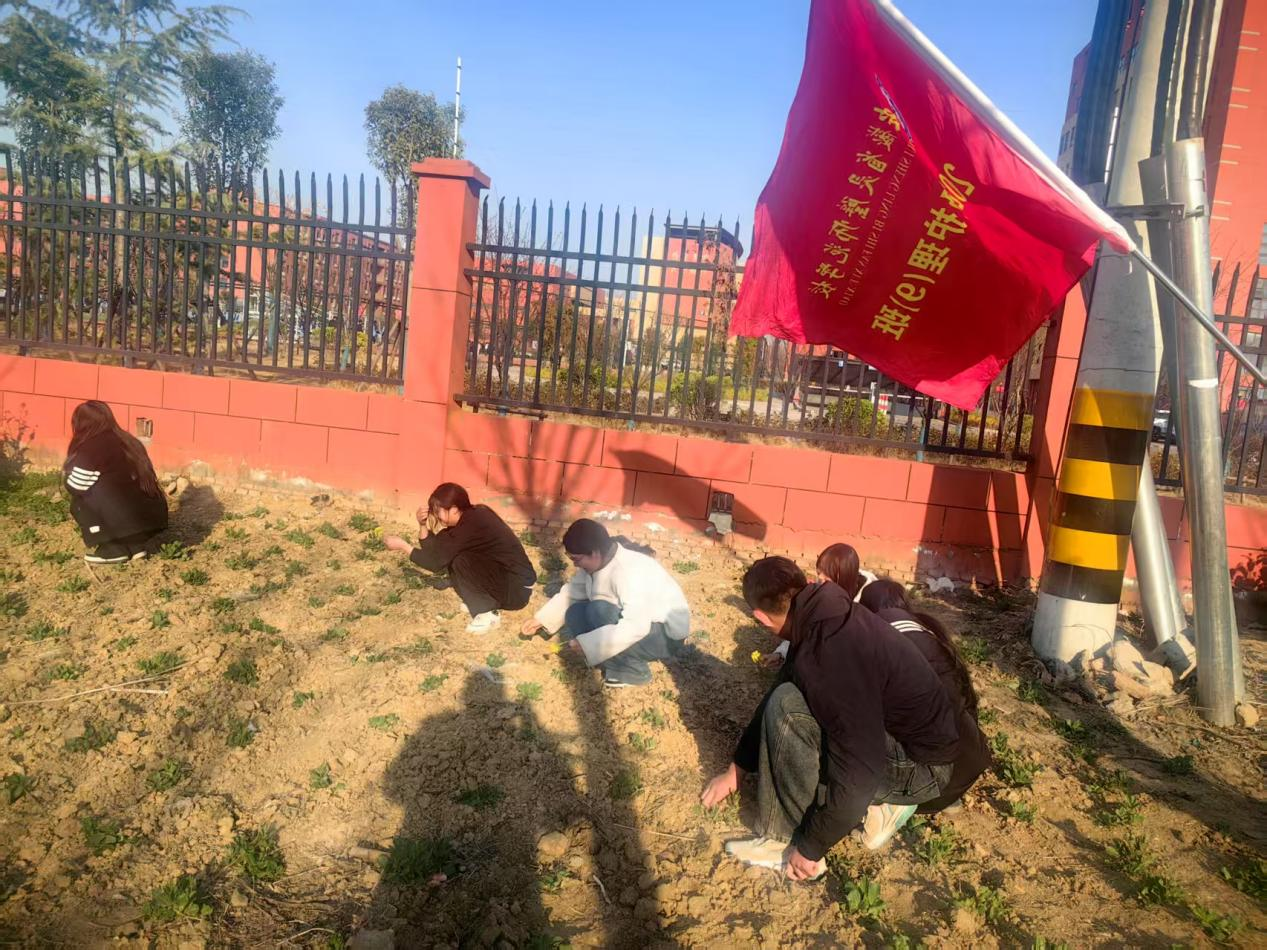 图片4.png 图片4.png