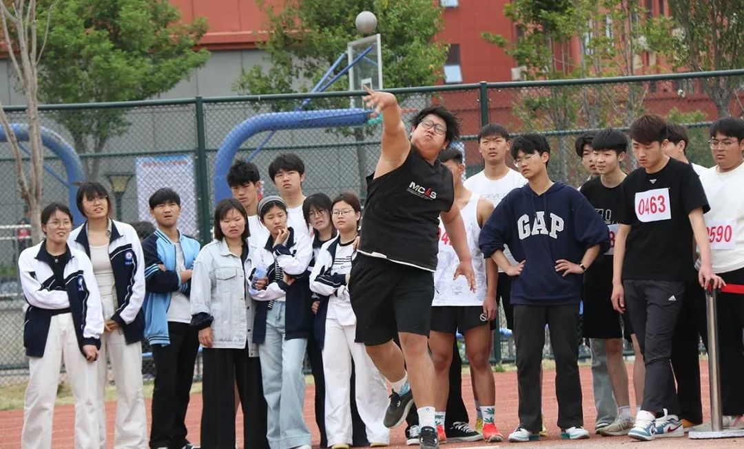 图片31.png 图片31.png