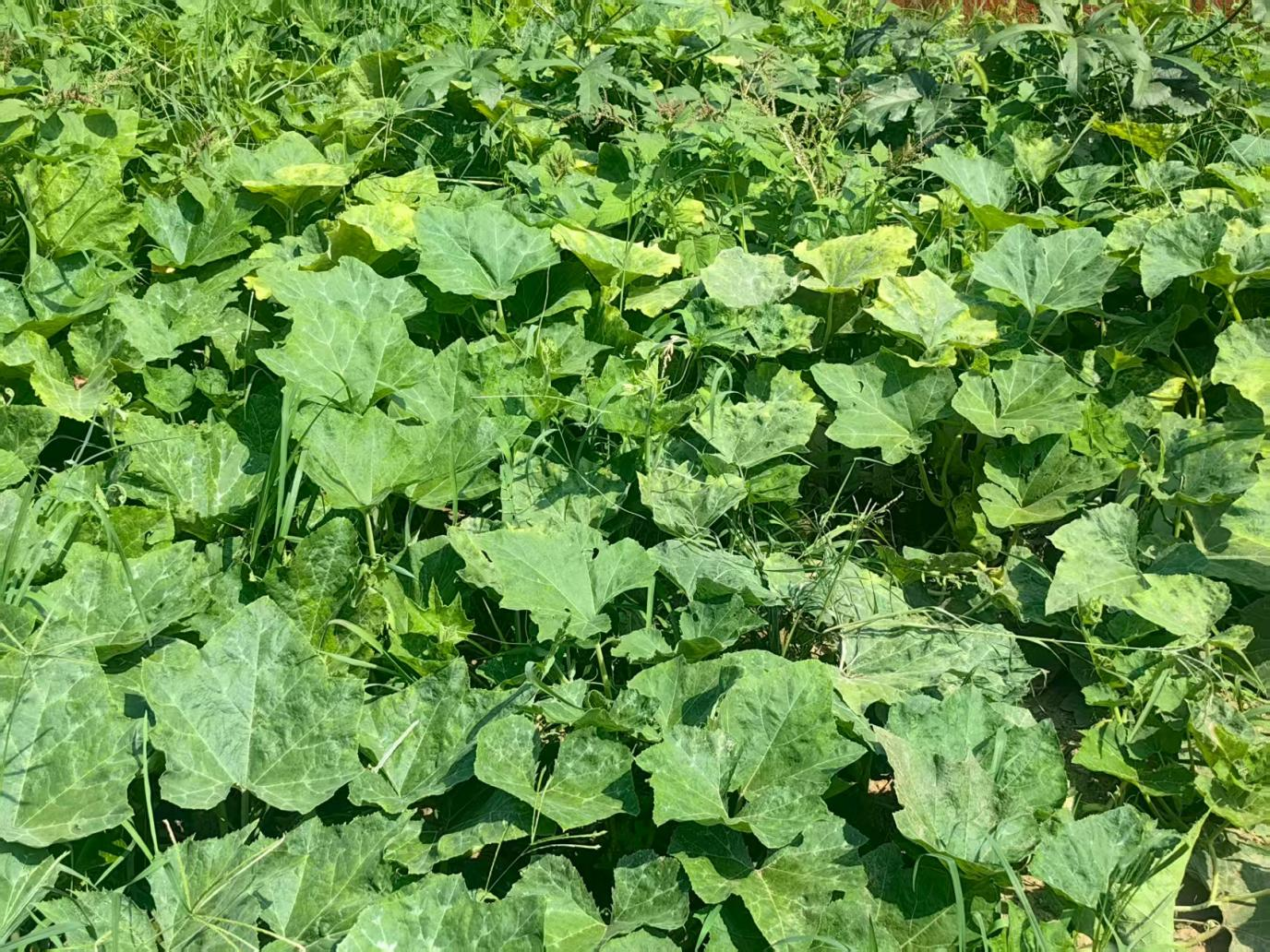 图片5.png 图片5.png